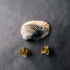 Golden Shell Studs Earrings