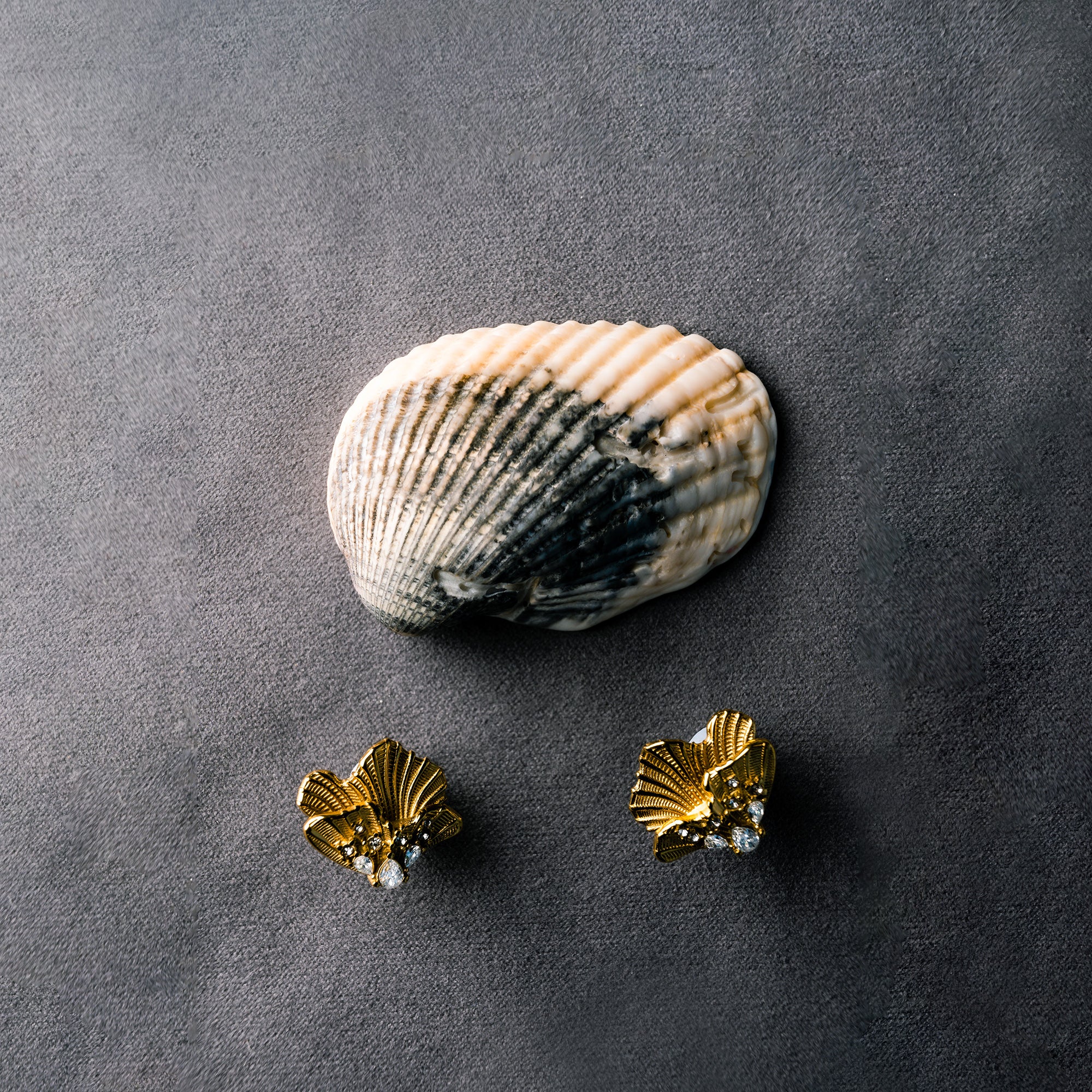 Golden Shell Studs Earrings